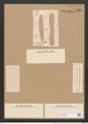 Nitzschia thermalis var. littorea Grun. (de-Toni-Nr.: Genus 47, Species 2044) Zeichnungen Sammlung Grunow Nr. 4037 (NHMW-BOT-W0371855)